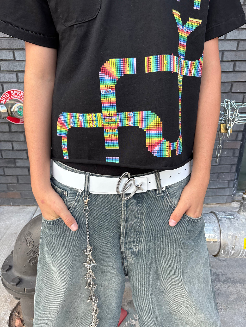 Cc Reversible Belt Silver
