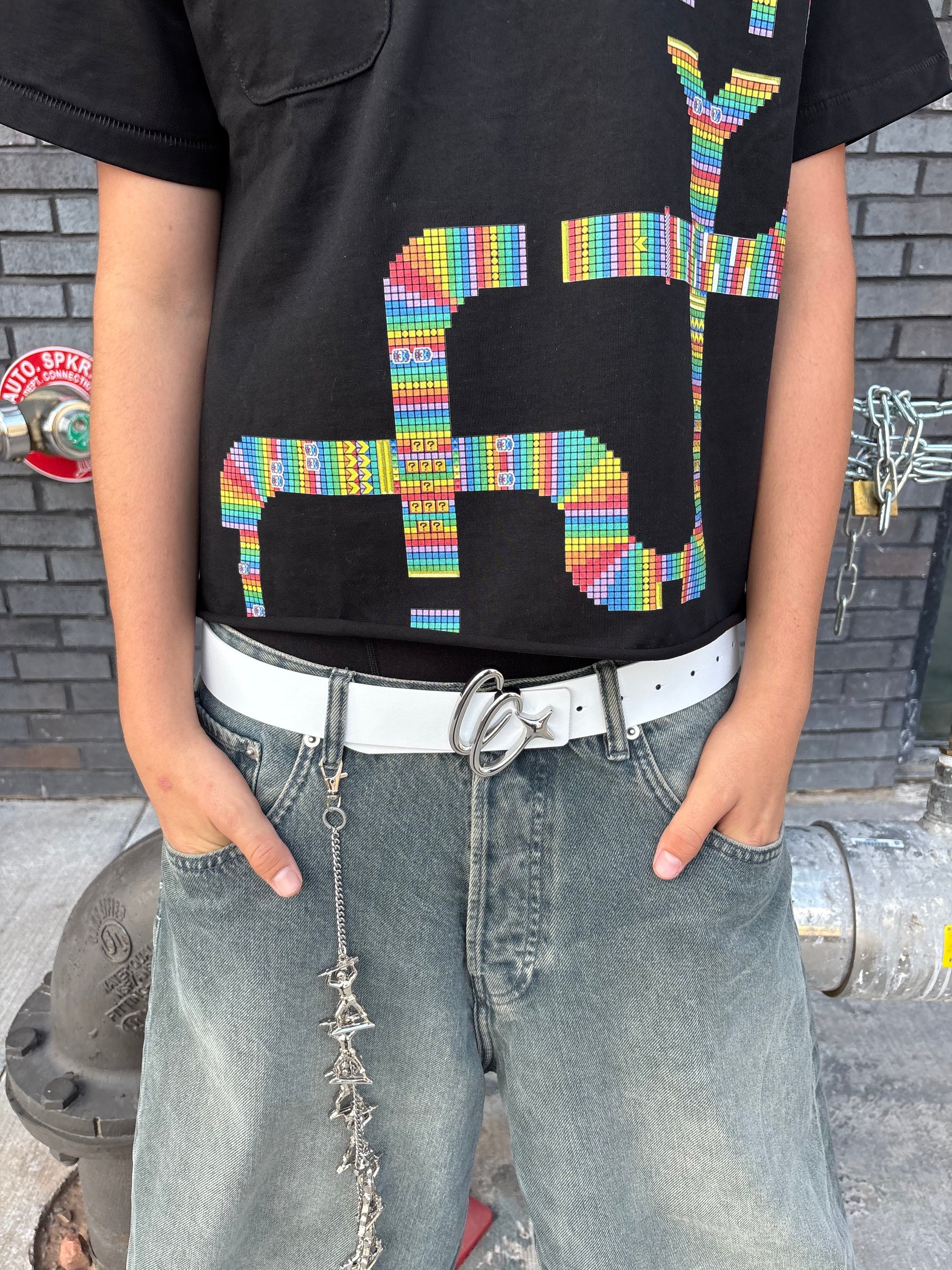 Cc Reversible Belt Silver