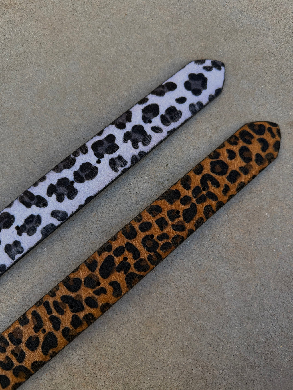 Cc Leopard Belts