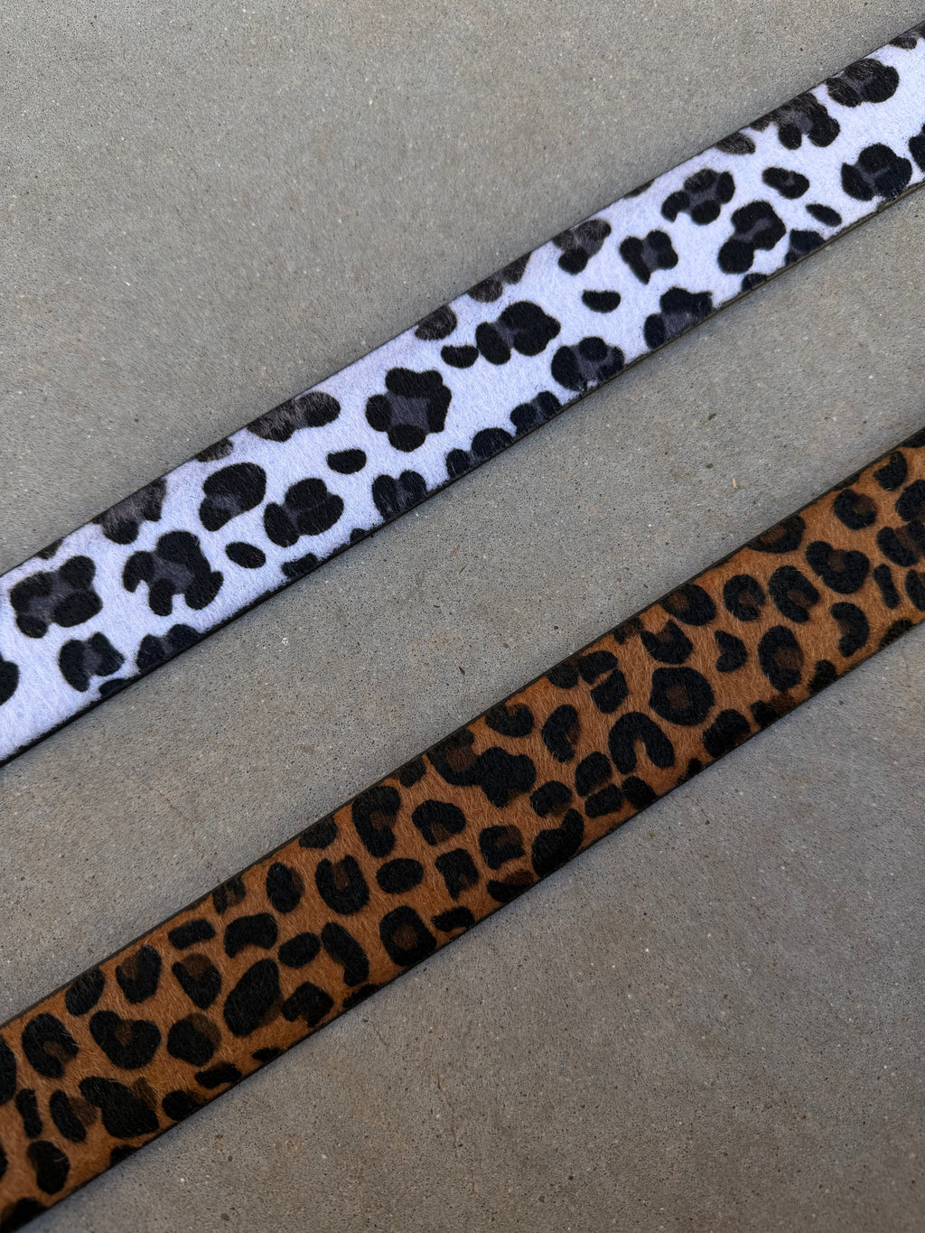 Cc Leopard Belts
